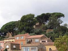 183 D24 BORMES LES MIMOSAS 2_000014